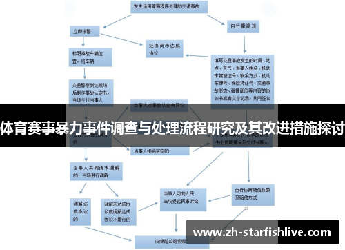 体育赛事暴力事件调查与处理流程研究及其改进措施探讨